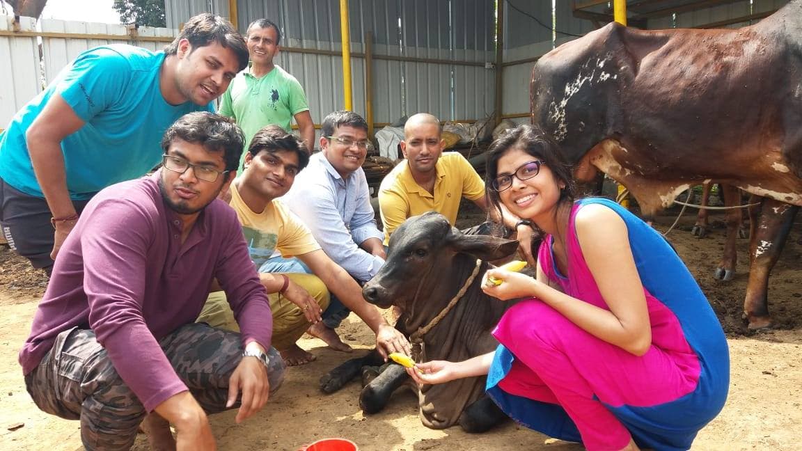 Gau Seva