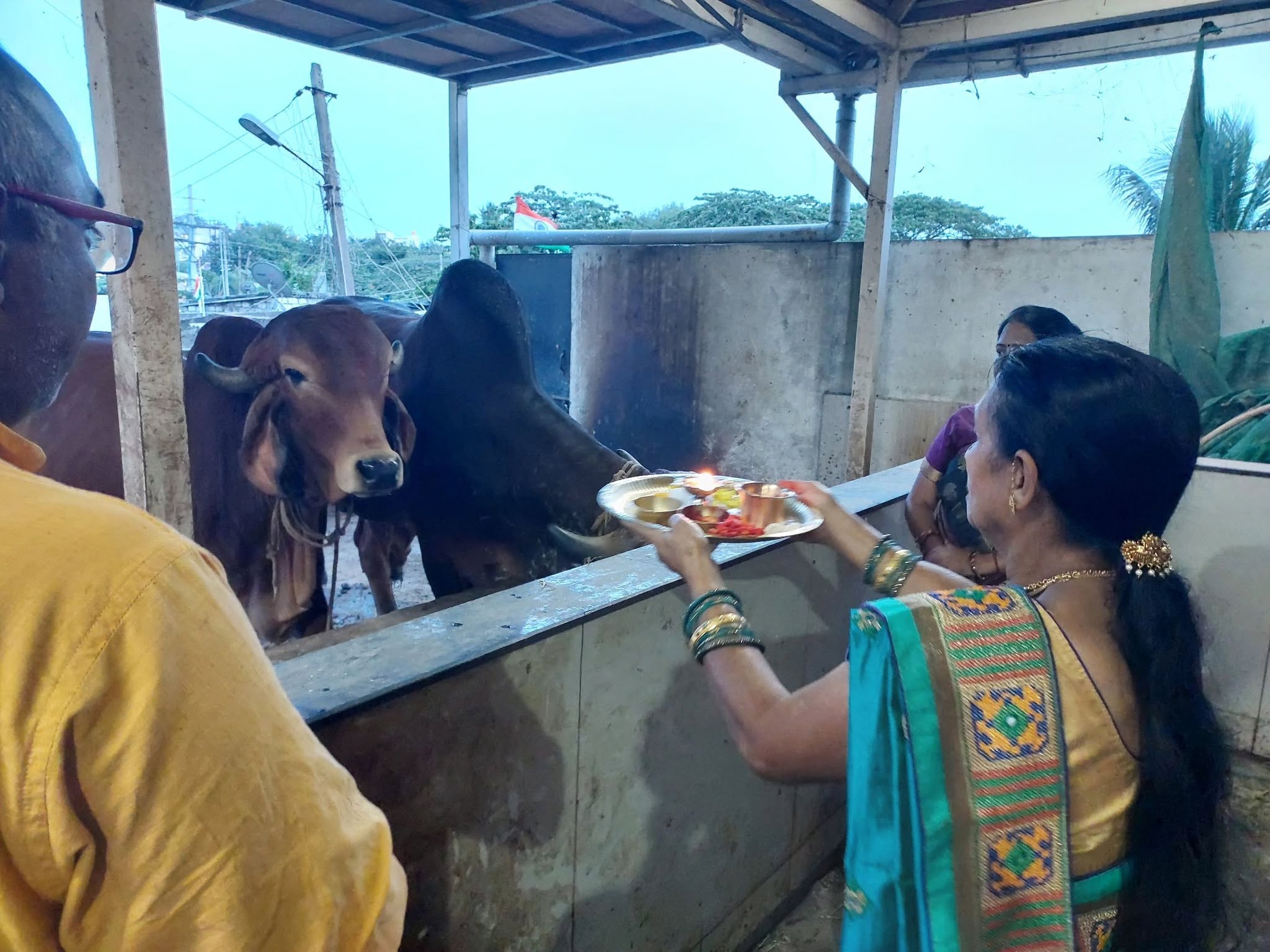 ಗೋ ಸೇವೆ — 4