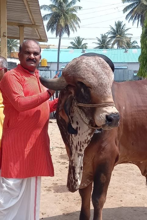 ಗೋ ಸೇವೆ — 9