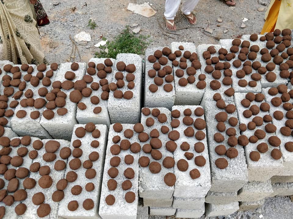 प्रकृति मित्र अभियान — बीज-गोला आंदोलन — 1